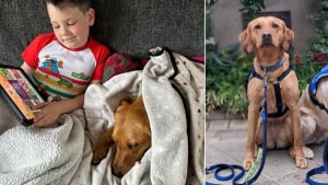 Illustration : "Avec sa chienne d'assistance à ses côtés, ce garçon atteint d'autisme trouve enfin le courage de découvrir le monde"