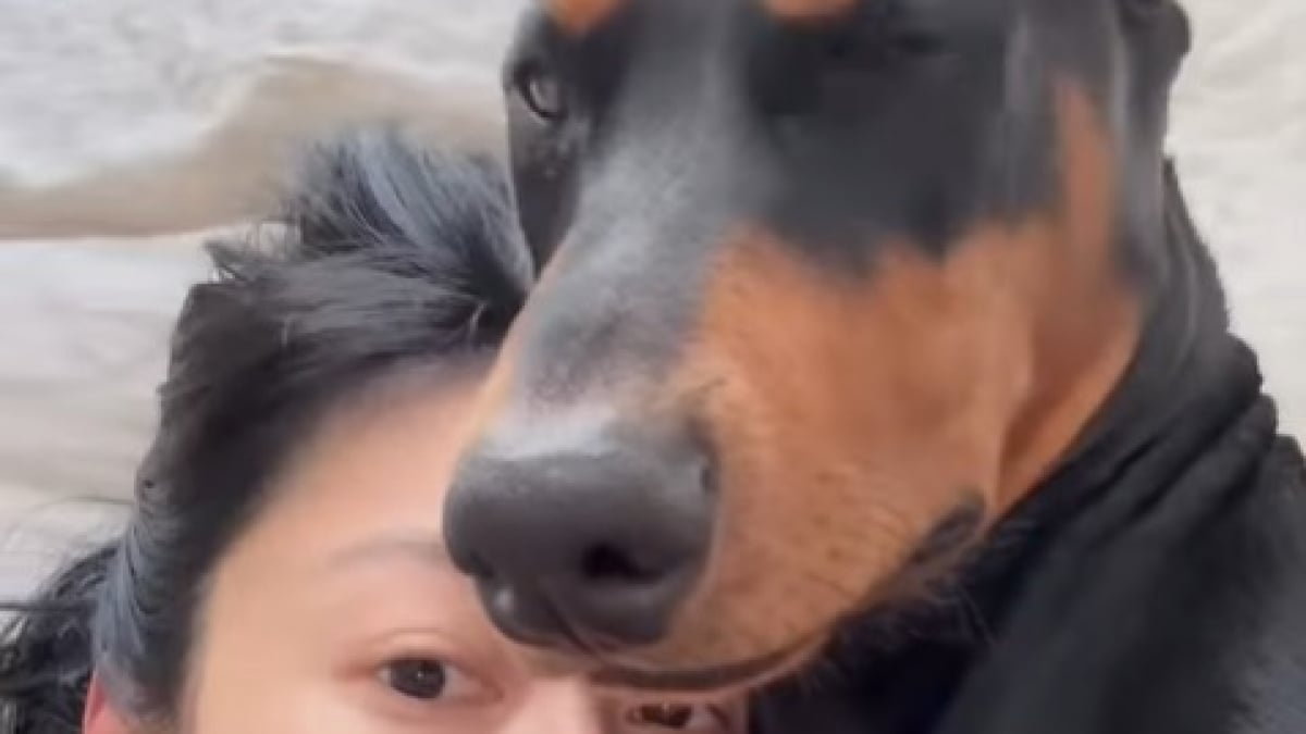 Illustration : "« C’est votre fils légitime » : cette femme a la même caractéristique physique que son chien (vidéo)"