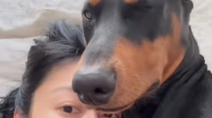 Illustration : « C’est votre fils légitime » : cette femme a la même caractéristique physique que son chien (vidéo)
