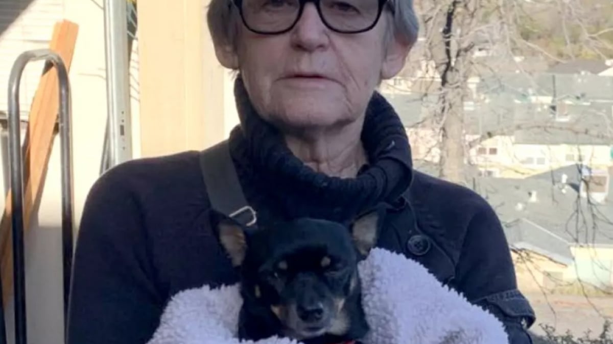 Illustration : "Perdue et désorientée, une femme de 85 ans doit son salut à l’intuition et au courage de son chien"