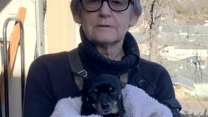 Illustration : Perdue et désorientée, une femme de 85 ans doit son salut à l’intuition et au courage de son chien