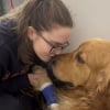 Illustration : Ils se préparent 3 fois à faire leurs adieux à leur chien, qui revient miraculeusement à lui après de graves problèmes