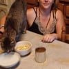 Illustration : Une famille perd ses chats sur une aire d’autoroute, puis reçoit un coup de fil 2 ans plus tard 