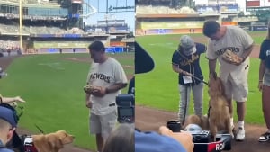 Illustration : "Lors d'un match de baseball, un chien d'assistance rencontre l'homme dont il s'apprête à changer la vie après 30 ans de service dans les forces de l'ordre"