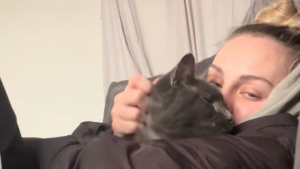 Illustration : "« Merci de l’aimer et de lui donner un foyer », une adoptante décide d’ouvrir sa maison et son cœur a un chat de retour pour la troisième fois au refuge"