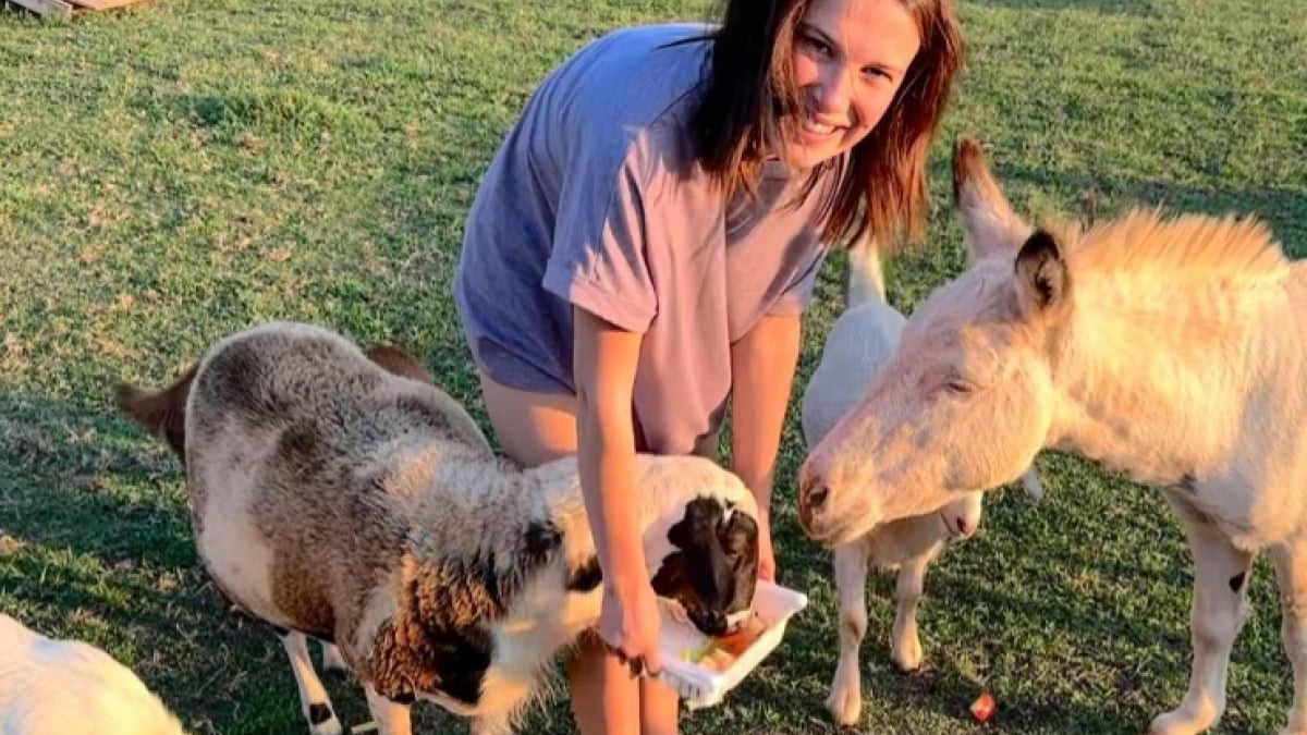 Illustration : "En plus d’être actrice, Millie Bobby Brown a une passion dévorante pour les animaux qui l’a conduite à quitter le domicile familial "