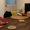 Illustration : Entouré par la bienveillance et la patience de ses nouveaux maîtres, ce chiot terrorisé finit par s’épanouir et dévoiler sa véritable personnalité (vidéo)