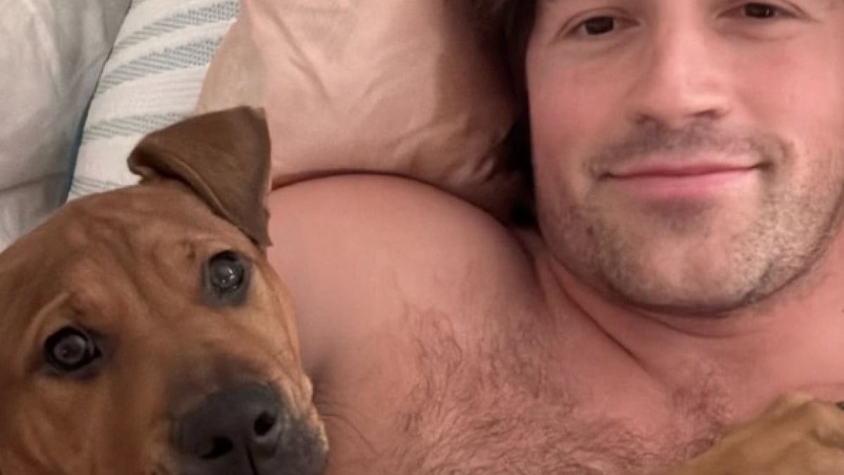 Illustration : "Ce propriétaire partage en temps réel son « échec » en tant que famille d’accueil d’un chien de refuge (vidéo)"