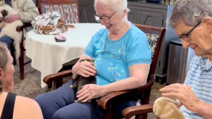 Illustration : "En visite dans une maison de retraite, ces chiots répandent calme et sérénité autour d’eux pour le plus grand bonheur des résidents (vidéo)"