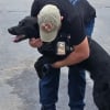 Illustration : "Il est devenu mon bras droit", après 22 ans de service, un vétéran retrouve goût à la vie grâce à son chien d’assistance exceptionnel