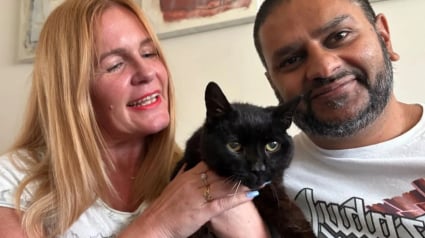 Illustration : Leur chat de 17 ans a survécu après sa disparition en mangeant des restes au McDonald's