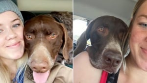 Illustration : "« Faire cohabiter la peine et la joie », cette propriétaire rencontre le frère de son défunt chien durant son deuil et apprend à voir la vie autrement (vidéo)"