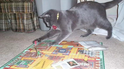 Illustration : 14 photos dr&ocirc;les de chats qui s&rsquo;invitent dans des parties de jeux de soci&eacute;t&eacute;