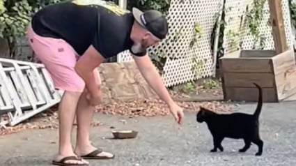 Illustration : "J’ai épousé le bon" confie une femme, admirative de son mari qui se déplace le week-end à son travail pour nourrir un chat abandonné (vidéo)