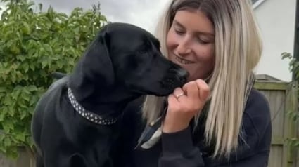 Illustration : "Je pense qu'elle m'a sauvé la vie", une chienne révèle par accident le mal dont une jeune femme souffrait