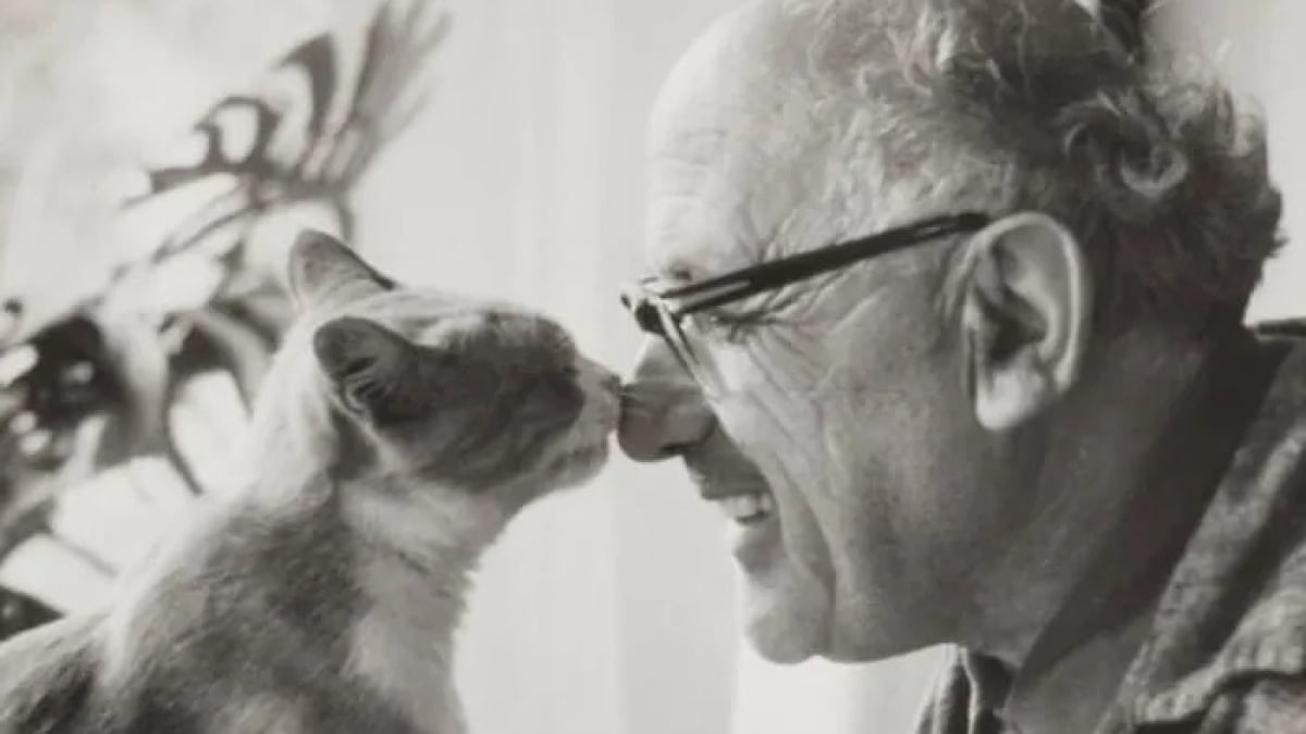 Illustration : "15 photos de chats qui sont très anciennes mais qui valent de l’or"