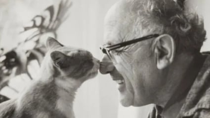 Illustration : 15 photos de chats qui sont très anciennes mais qui valent de l’or