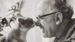 Illustration : "15 photos de chats qui sont très anciennes mais qui valent de l’or"