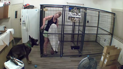 Illustration : Après avoir enfermé sa sœur canine dans une cage, ce chien piège sa propriétaire (vidéo) 