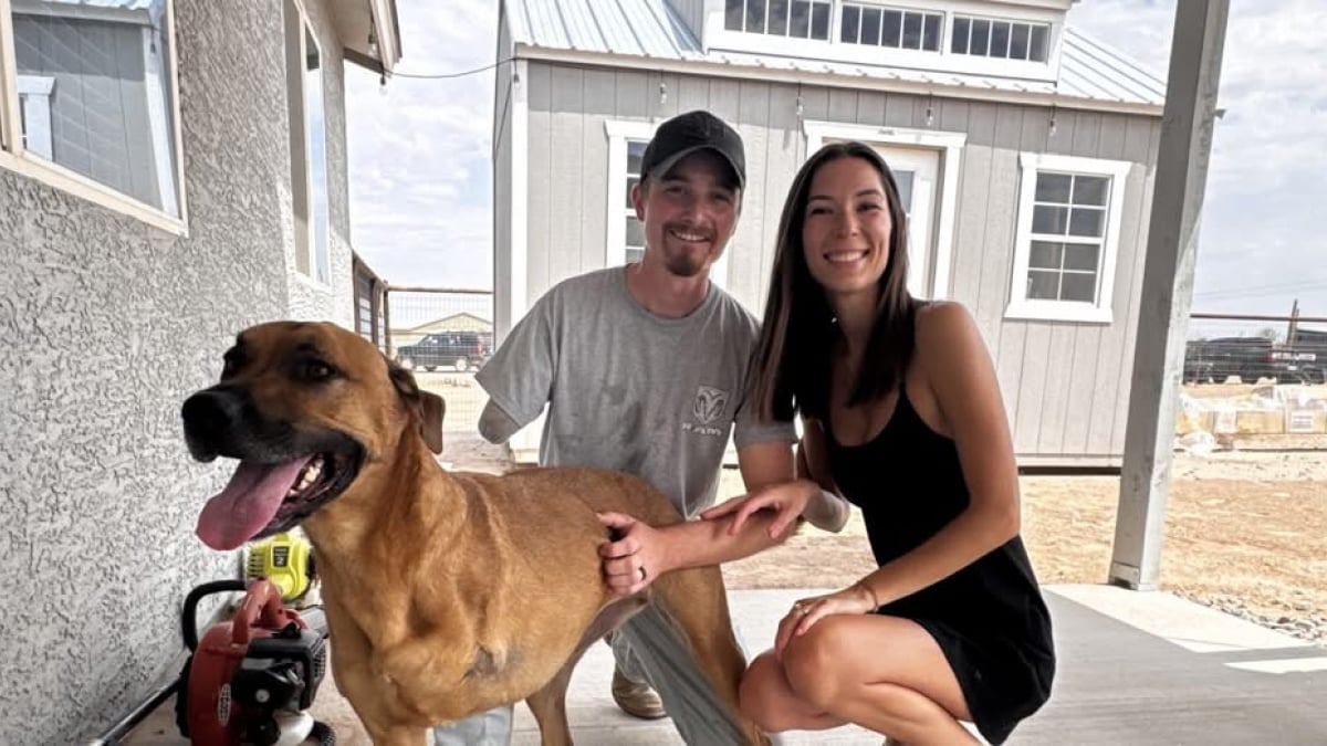 Illustration : "Le destin n’a pas épargné cet homme et cette chienne, pourtant leurs accidents vont les lier pour la vie (vidéo)"