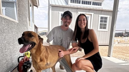 Illustration : Le destin n’a pas épargné cet homme et cette chienne, pourtant leurs accidents vont les lier pour la vie (vidéo)