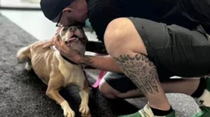 Illustration : Une chienne amenée au refuge saute de joie en retrouvant sa famille qu’elle n’avait pas vue depuis des mois