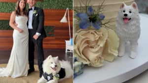 Illustration : "Serviettes à son effigie, nœud papillon et boisson signature à son nom,  quand un chien devient la star du mariage de ses maîtres (vidéo)"