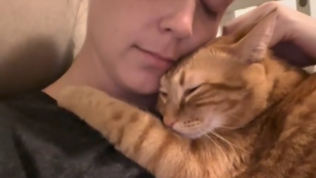 Illustration : "Elle fait une promesse bouleversante à son chat s'étant senti délaissé avec l'arrivée du bébé (vidéo)"