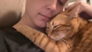 Illustration : "Elle fait une promesse bouleversante à son chat s'étant senti délaissé avec l'arrivée du bébé (vidéo)"