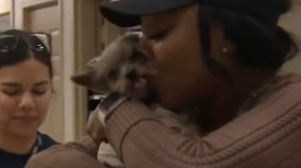Illustration : Le temps s’arrête lorsqu’une femme, à qui le chien a été volé dans sa propre voiture, le prend à nouveau dans ses bras (vidéo)