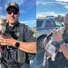 Illustration : La police arrête un voleur de voiture et découvre un chiot apeuré à bord, sa famille soulagée peut enfin le serrer dans ses bras