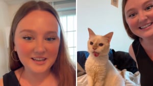 Illustration : À peine une heure après sa mise à l’adoption, ce chat senior édenté trouve le bonheur auprès d’une jeune femme venu adopter un chaton (vidéo)