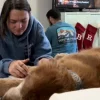 Illustration : Consciente de vivre ses derniers instants en compagnie de son chien, cette jeune femme offre à son Golden Retriever un dernier souvenir féérique sous les illuminations (vidéo)
