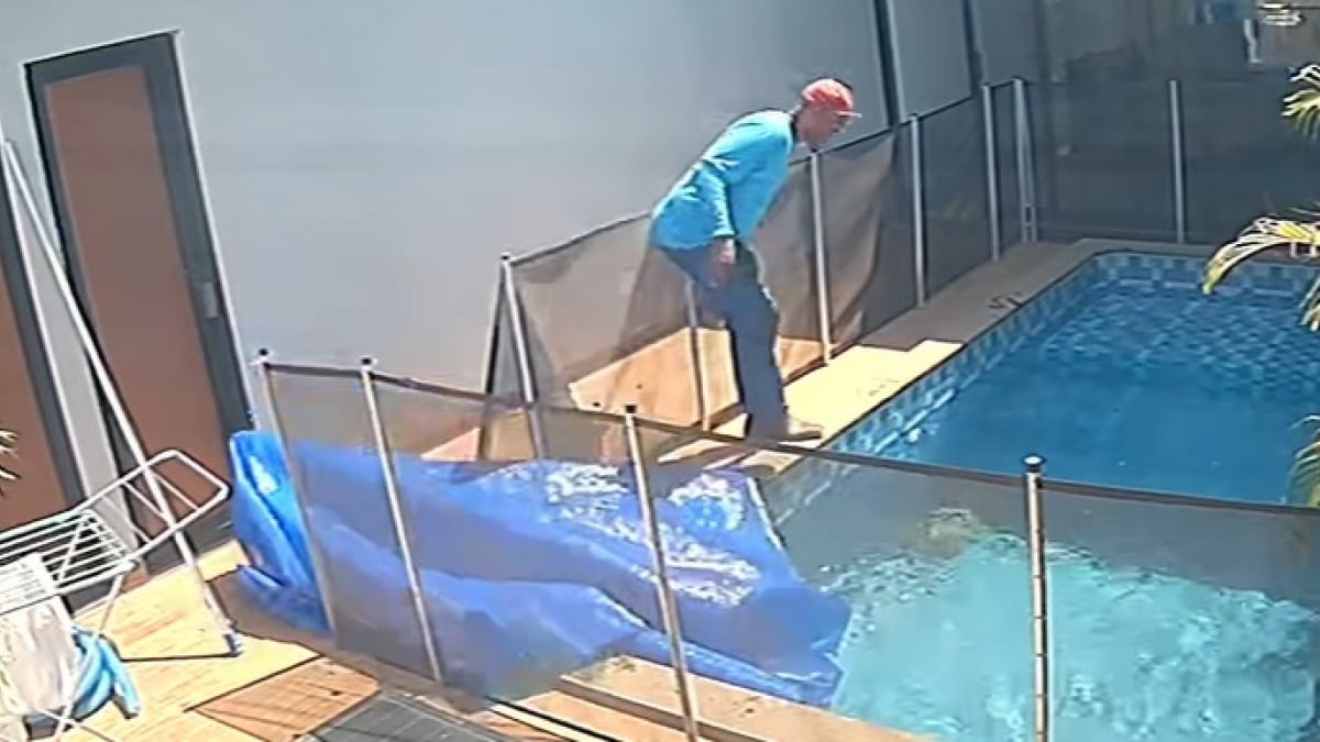 Illustration : "Un nettoyeur découvre un chien sous la bâche d’une piscine et comprend qu’il reste un espoir de le sauver (vidéo)"