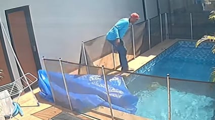 Illustration : Un nettoyeur découvre un chien sous la bâche d’une piscine et comprend qu’il reste un espoir de le sauver (vidéo)
