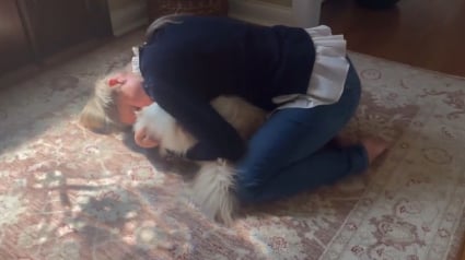 Illustration : Une femme effarée après avoir reçu une facture vétérinaire s’élevant à plus de 25 000 € 