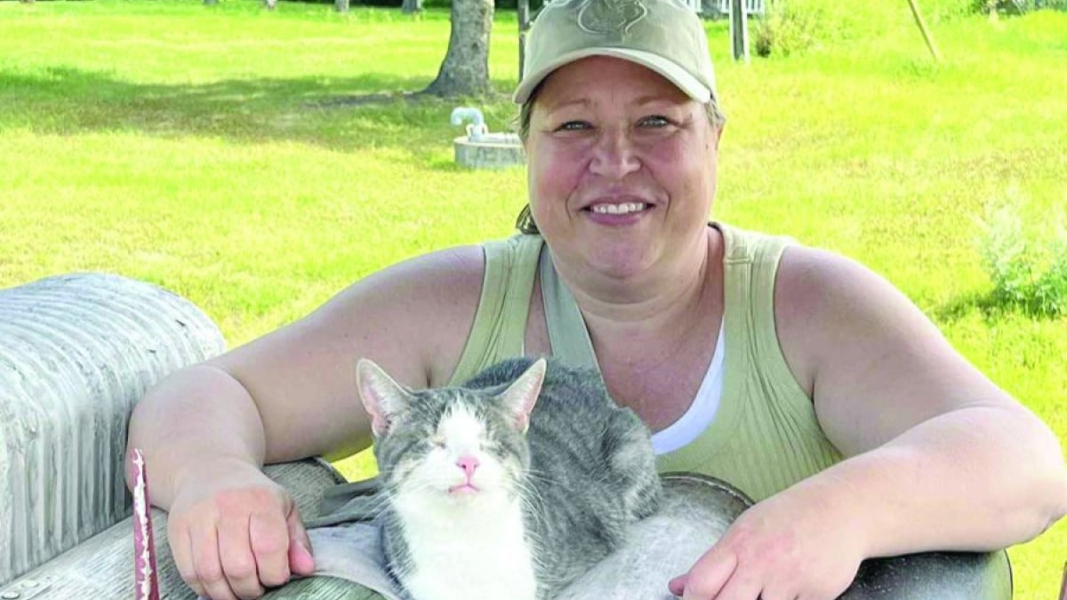 Illustration : "Malgré son handicap, cette chatte aveugle montre que tout est possible, même devenir une star de cinéma"