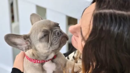Illustration : Des employés de bureau sont moins stressés car leur pause déjeuner se fait désormais en excellente compagnie