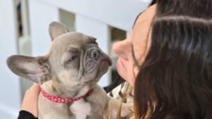 Illustration : Des employés de bureau sont moins stressés car leur pause déjeuner se fait désormais en excellente compagnie