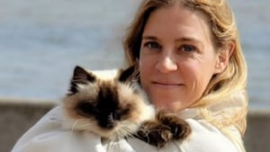 Illustration : "Pour sauver la vie de leur chat victime de nombreux problèmes de santé, ces humains n’ont pas hésité à liquider toutes leurs économies"