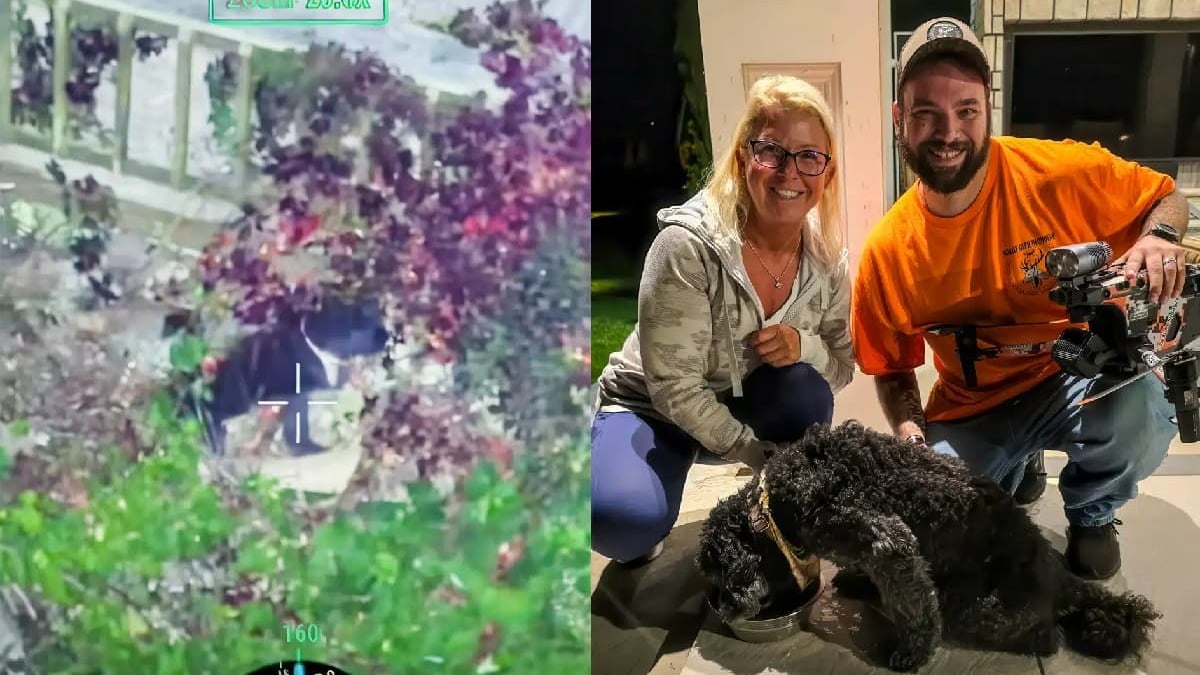 Illustration : "Pour sauver un chien sourd de 15 ans disparu au bord d'un lac, un pilote de drone déterminé brave l'obscurité et un ravin de 20 mètres"