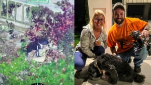 Illustration : Pour sauver un chien sourd de 15 ans disparu au bord d'un lac, un pilote de drone déterminé brave l'obscurité et un ravin de 20 mètres