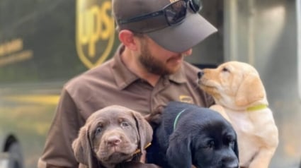 Illustration : 15 photos des animaux les plus mignons rencontrés par des chauffeurs livreurs lors de leurs tournées