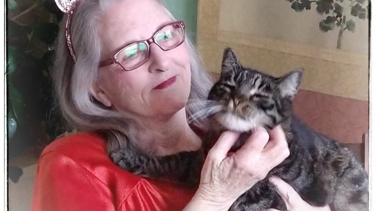 Illustration : "Passionnée depuis toujours par les félins, l'écrivaine Mollie Hunt a bâti toute sa carrière littéraire autour des chats qui partagent sa vie"