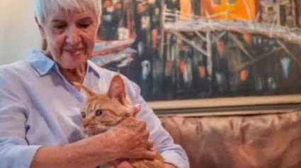 Illustration : Nouvelle et ancienne génération allient leurs savoirs pour retrouver un chat perdu