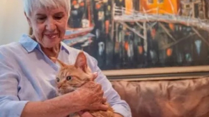 Illustration : Nouvelle et ancienne génération allient leurs savoirs pour retrouver un chat perdu