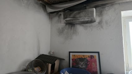 Illustration : Après 2 impacts de foudre, un refuge pour chats réduit en cendres voit ses pensionnaires sauvés in extremis et renaît grâce à un élan de solidarité