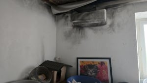 Illustration : Après 2 impacts de foudre, un refuge pour chats réduit en cendres voit ses pensionnaires sauvés in extremis et renaît grâce à un élan de solidarité