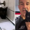 Illustration : En faisant une halte dans un restaurant, ce vétérinaire ne s’attendait pas à trouver un chaton caché derrière les toilettes (vidéo)