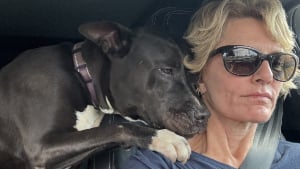 Illustration : Une bénévole apprend que le Pitbull dont elle s'occupe ne sera pas adopté, il sent sa tristesse et tente de la réconforter